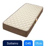 Solteiro