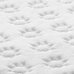 Detalhe_Tampo-3